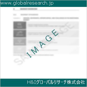 グローバルリサーチ調査資料のイメージ